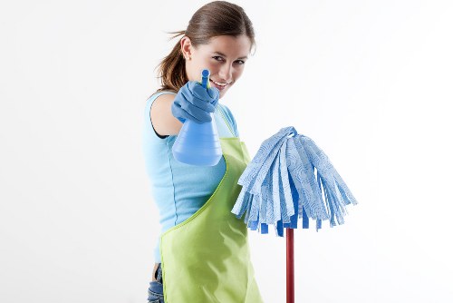 Professional cleaners restoring freshness in a Crystal Palace home