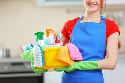 Commercial cleaning in a Crystal Palace office environment