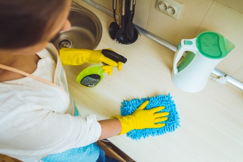 Oven cleaning with grease removal from the interior