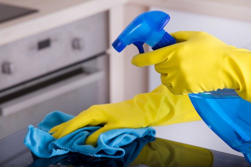 Professional carpet cleaning in a bright living room