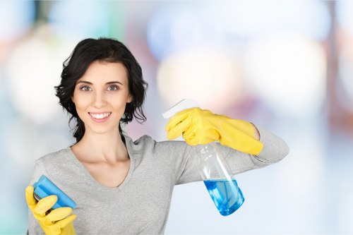 Weekly domestic cleaning schedule and organized home care