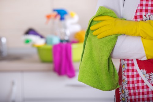 Eco-friendly house cleaning supplies arranged neatly on a shelf