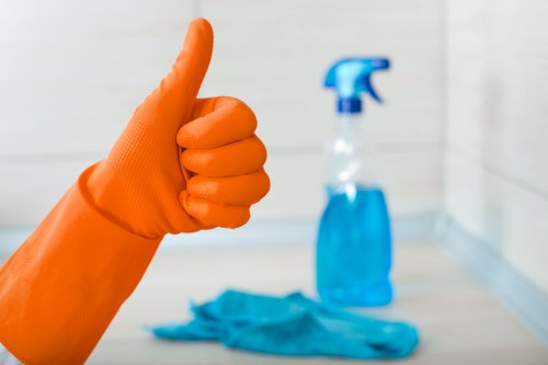 Borough waste separation and recycling efficiency in practice