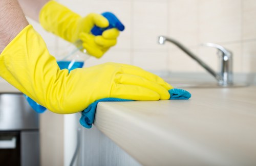 Bathroom hygiene and sanitizing during domestic cleaning
