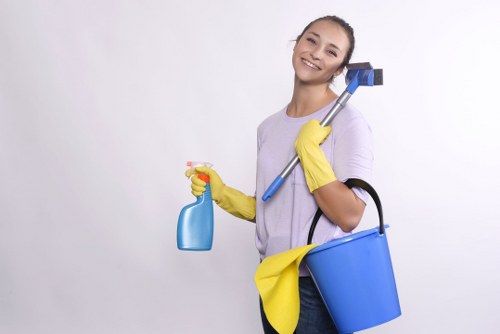 Technician using tools for streak-free window cleaning