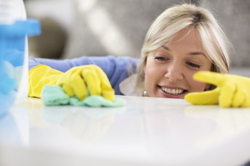 Kitchen maintenance and routine cleaning for a healthier home