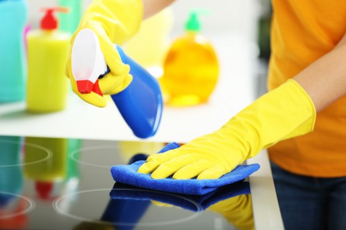 Professional upholstery cleaning for different sofa fabrics