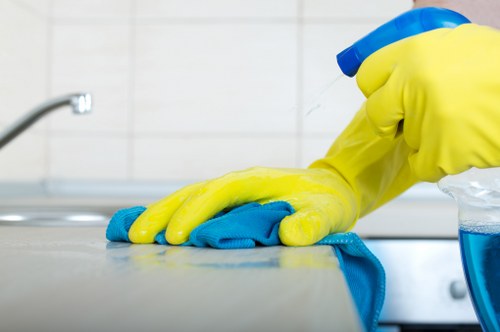 Kitchen cleaning with organized countertops and shining surfaces