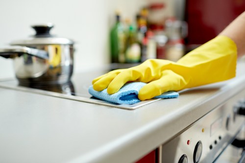 Bathroom deep cleaning with fresh sanitized fixtures