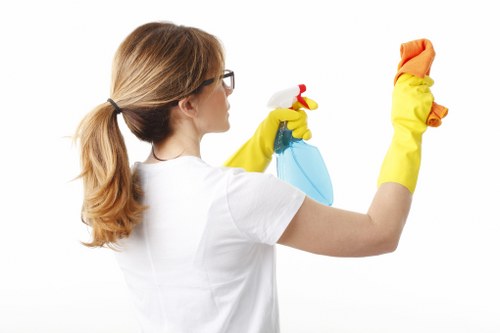 Professional rug cleaning tools and techniques